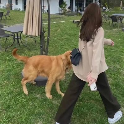 无罪辩护